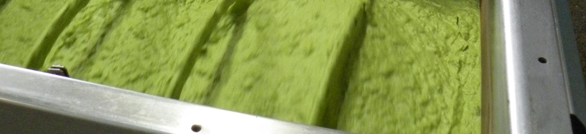 avocado paste 