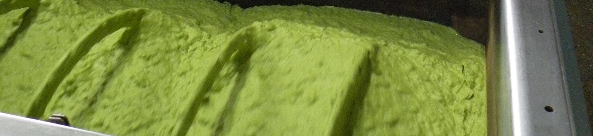 avocado paste 